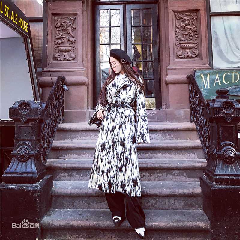 温心(Swan)高清国外图集