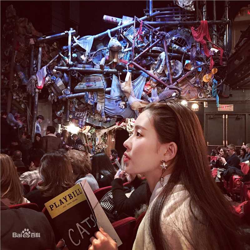 温心(Swan)高清国外图集