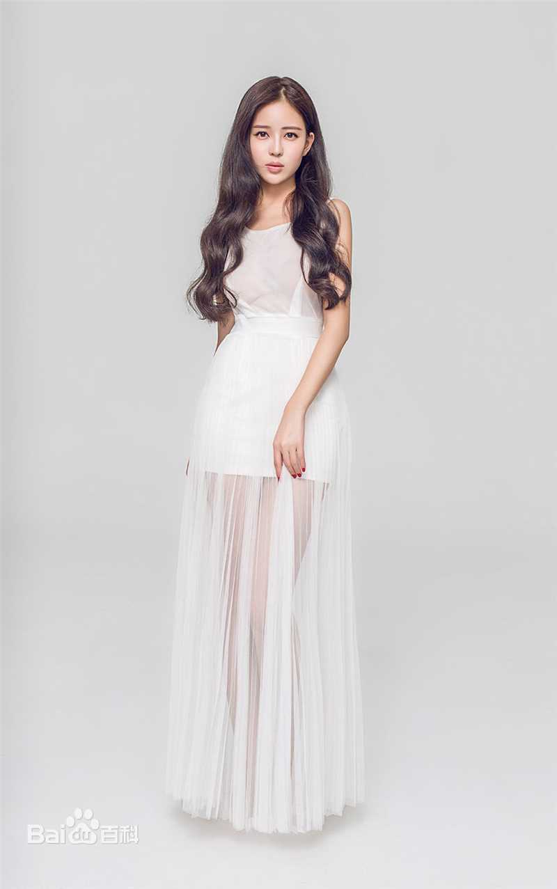 温心(Swan)精选图册