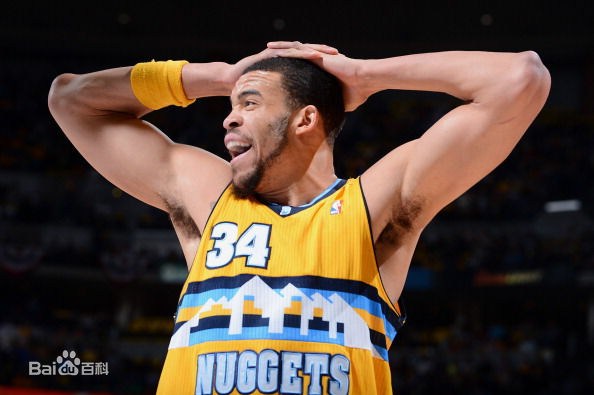 贾维尔·麦基(JaVale McGee)效力掘金素颜照相册