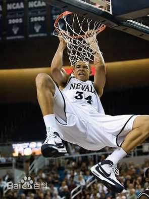 精选贾维尔·麦基(JaVale McGee)