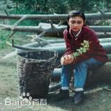 高清石建都性感图片