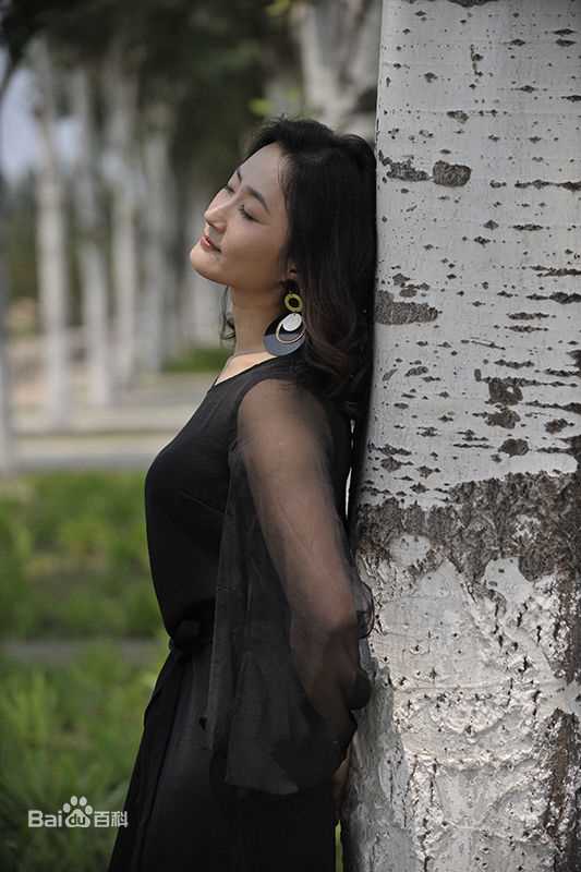 刘婉婷艺术照壁纸壁纸