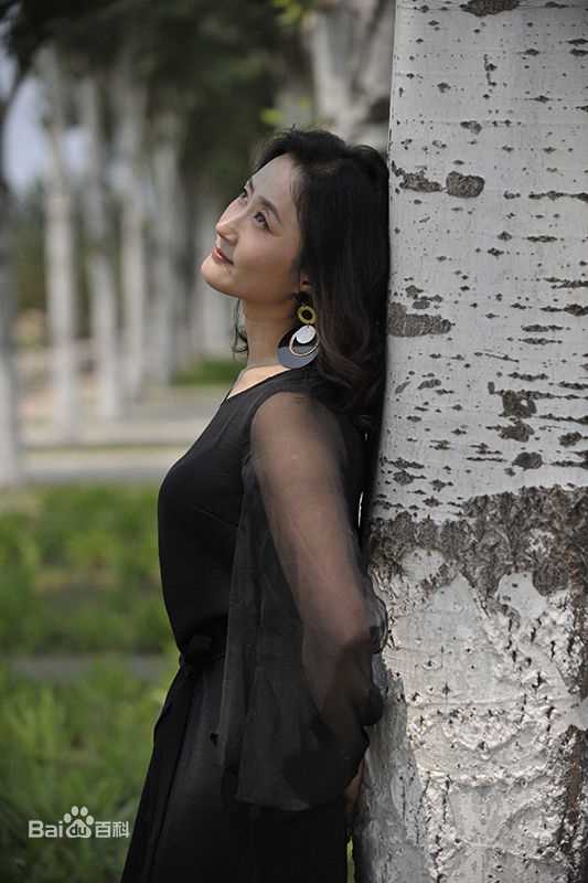 刘婉婷艺术照壁纸壁纸