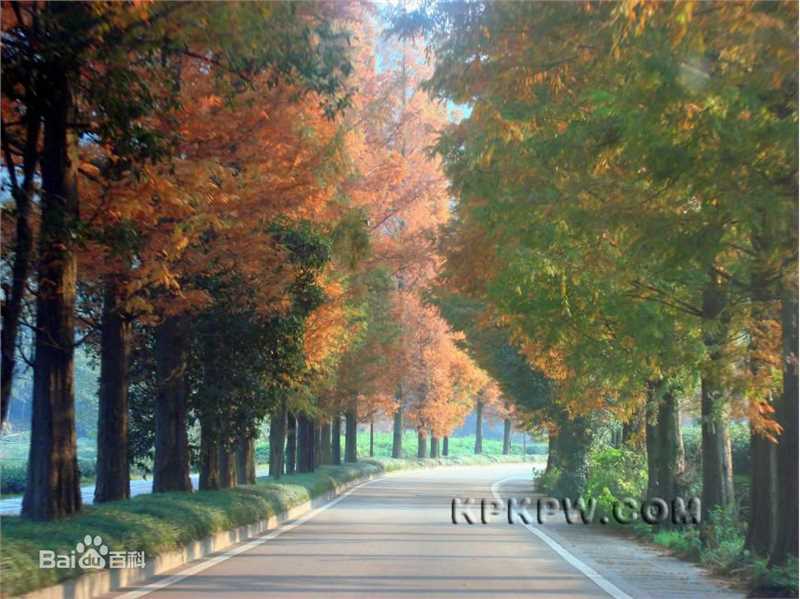 秋(autumn)天美景性感图片图集