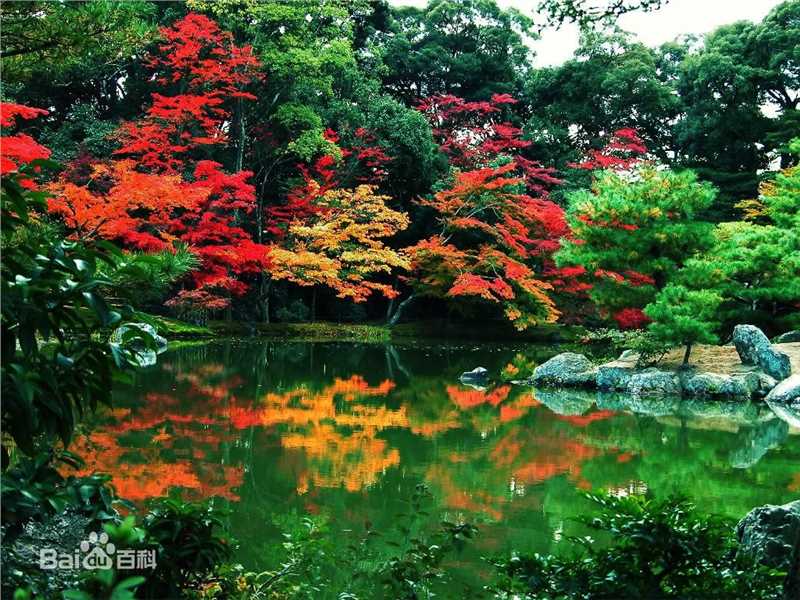 秋(autumn)天美景性感图片图集