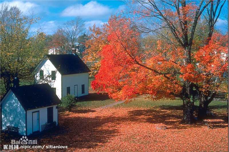 秋(autumn)天美景性感图片图集
