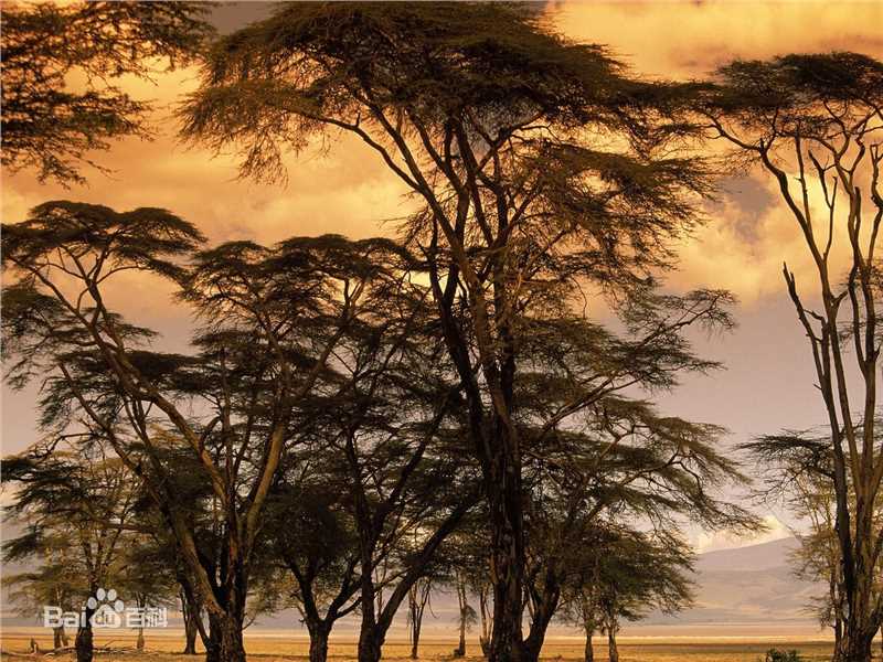 秋(autumn)天美景性感图片图集