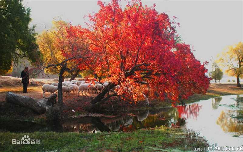 秋(autumn)天美景性感图片图集