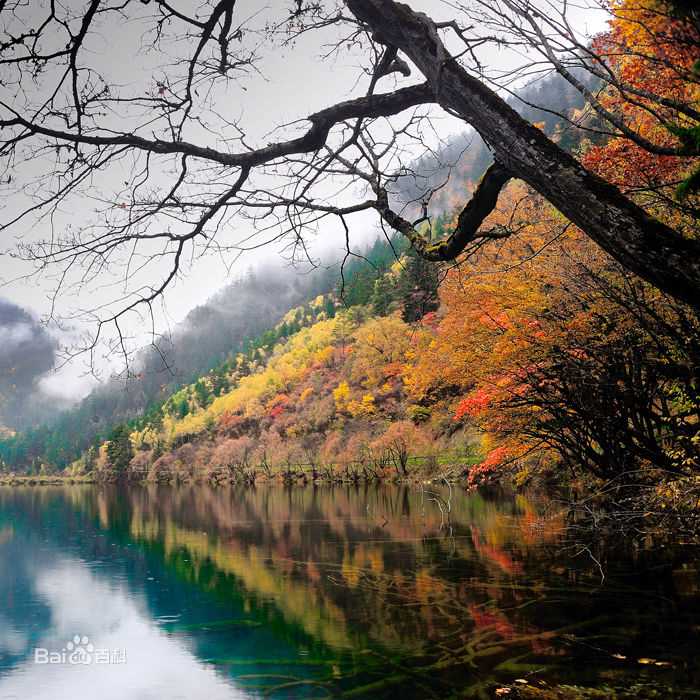 秋(autumn)天美景性感图片图集