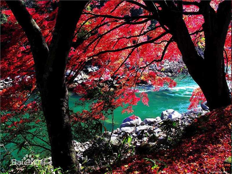 秋(autumn)天美景性感图片图集