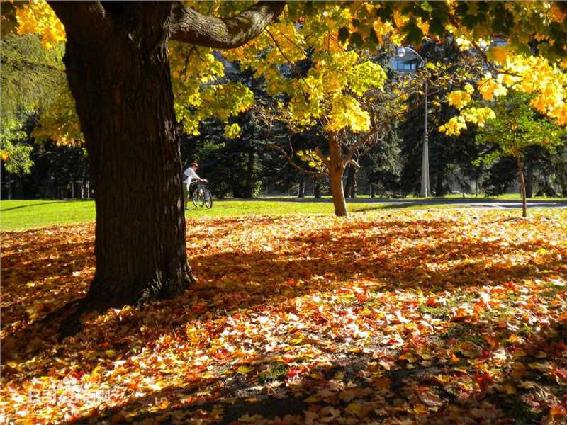 秋(autumn)天美景性感图片图集