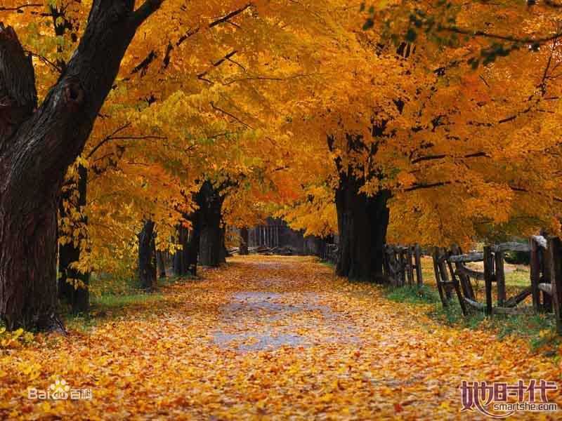 秋(autumn)天美景性感图片图集