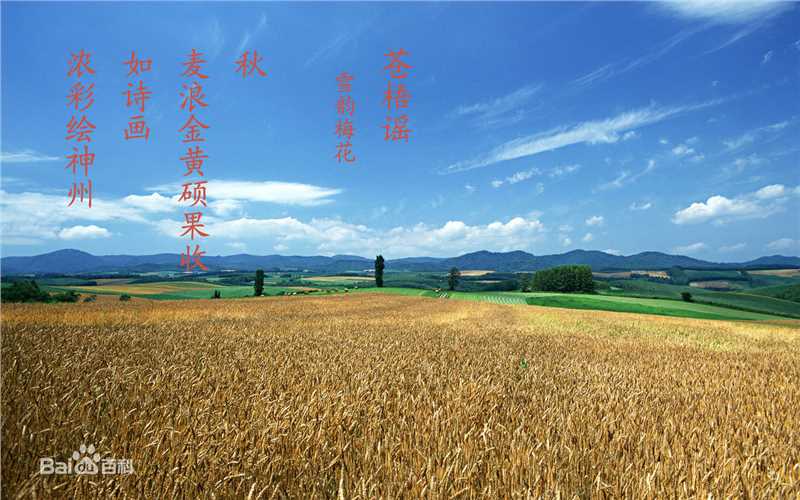 秋(autumn)天美景性感图片图集