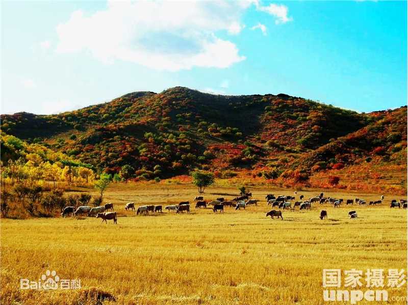 秋(autumn)天美景性感图片图集