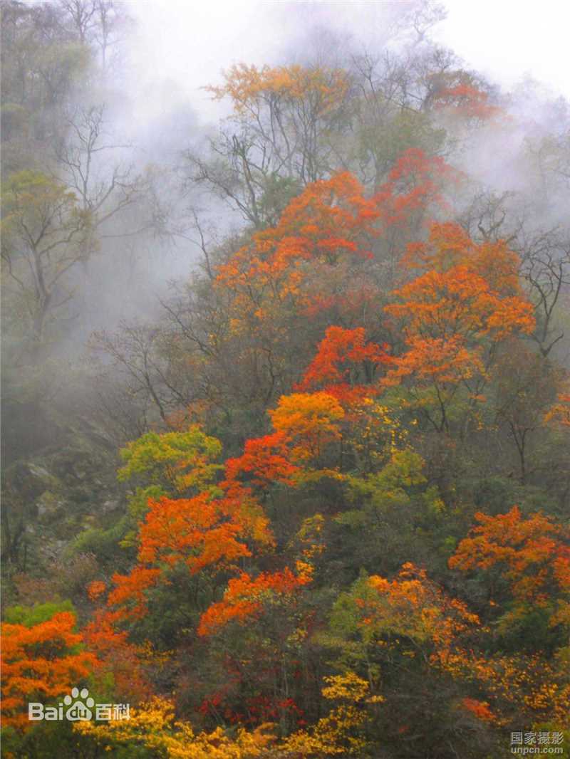 秋(autumn)天美景性感图片图集