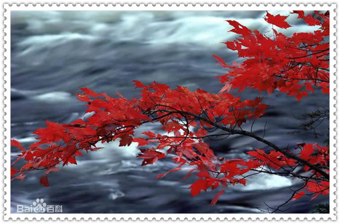 秋(autumn)天美景性感图片图集