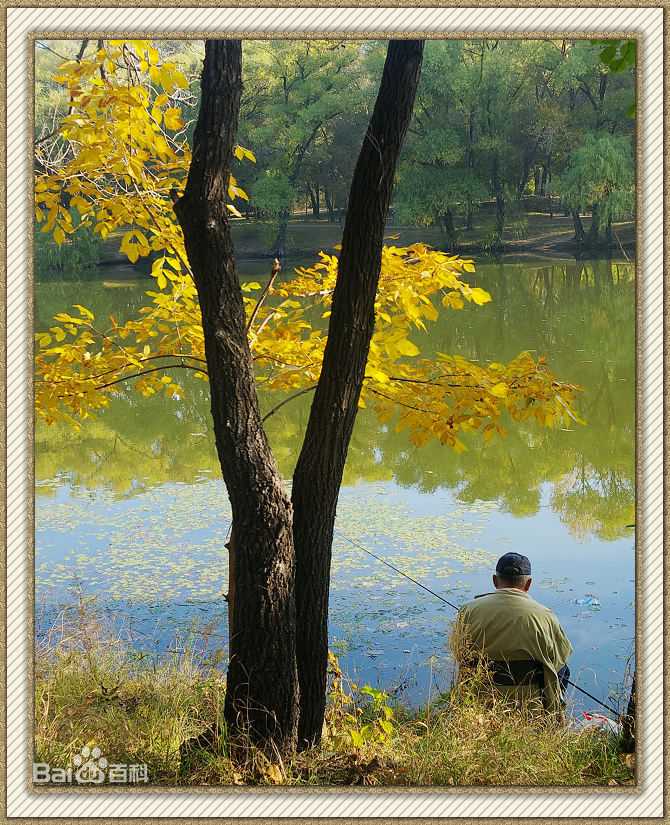 秋(autumn)天美景性感图片图集