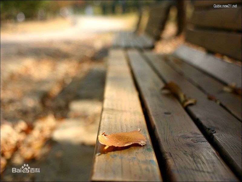秋(autumn)天美景性感图片图集