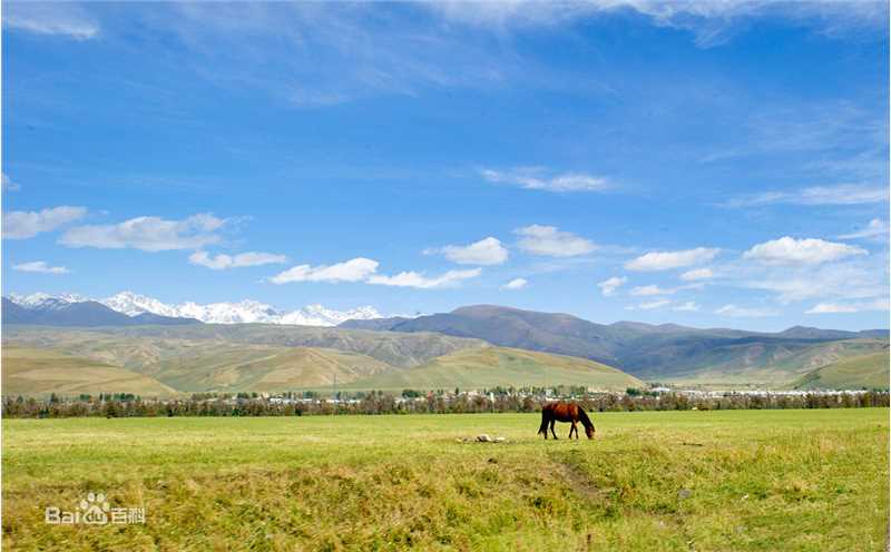 秋(autumn)色壁纸壁纸