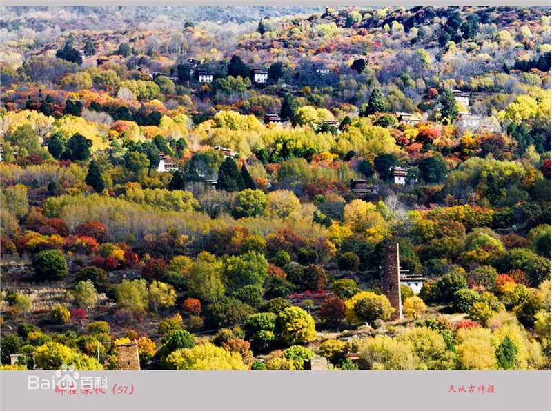 秋(autumn)色壁纸壁纸