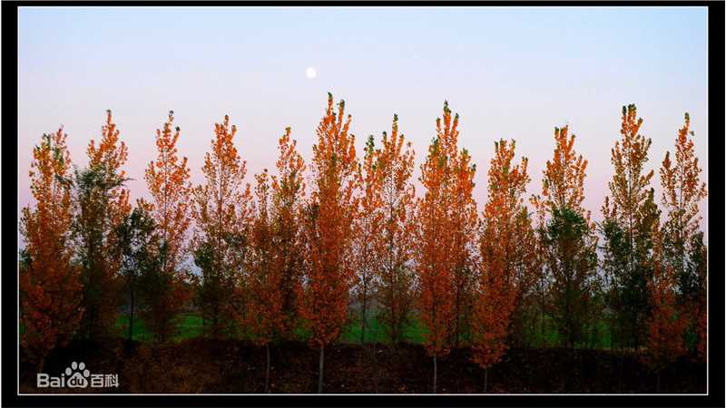 秋(autumn)色壁纸壁纸