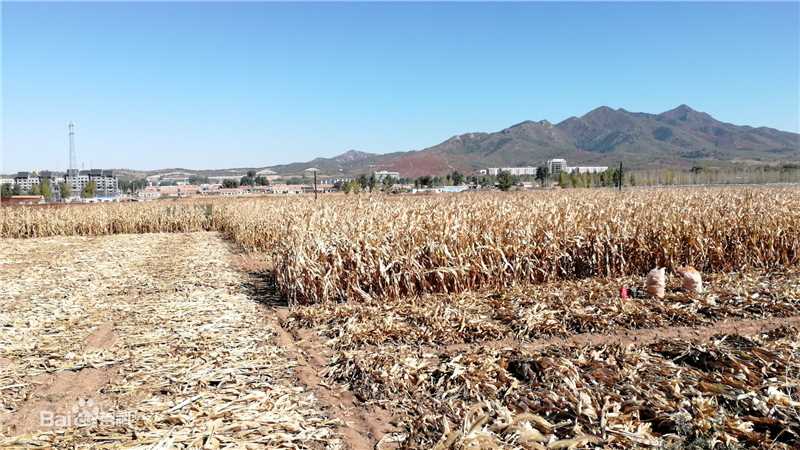 秋(autumn)天景观素颜照相册