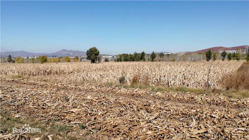 秋(autumn)天景观素颜照相册