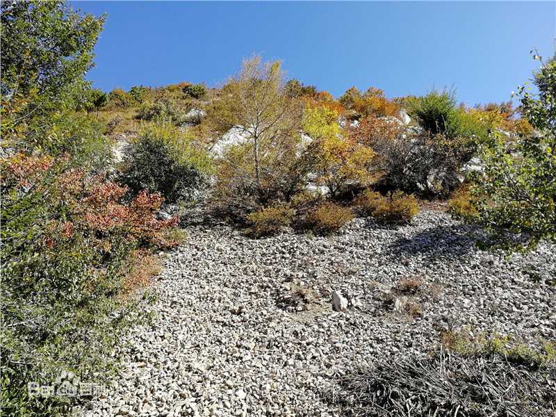 秋(autumn)天景观素颜照相册