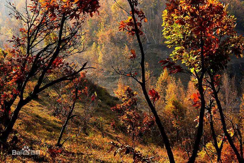 秋(autumn)天景观素颜照相册