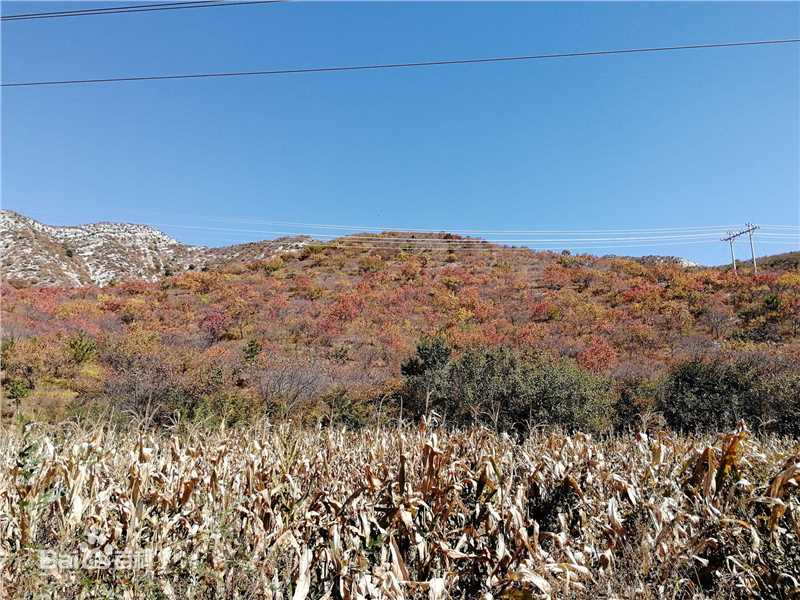 秋(autumn)天景观素颜照相册