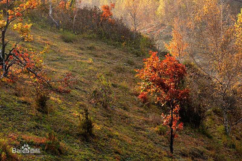 秋(autumn)天景观素颜照相册