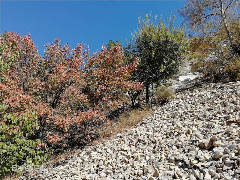 秋(autumn)天景观素颜照相册
