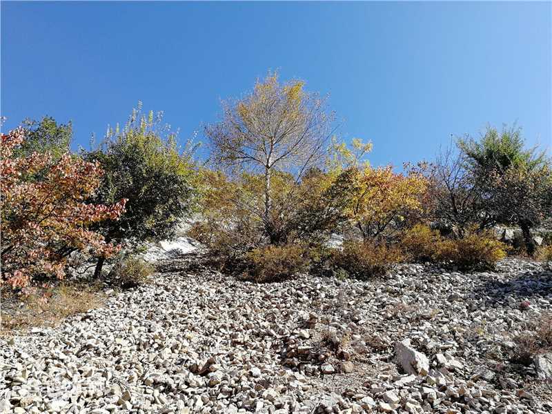 秋(autumn)天景观素颜照相册