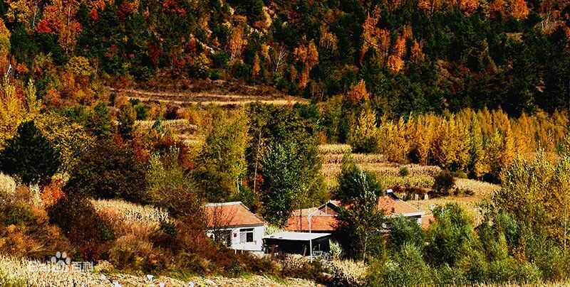 秋(autumn)天景观素颜照相册