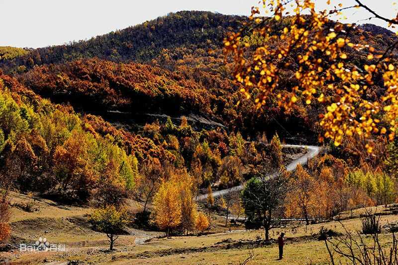 秋(autumn)天景观素颜照相册