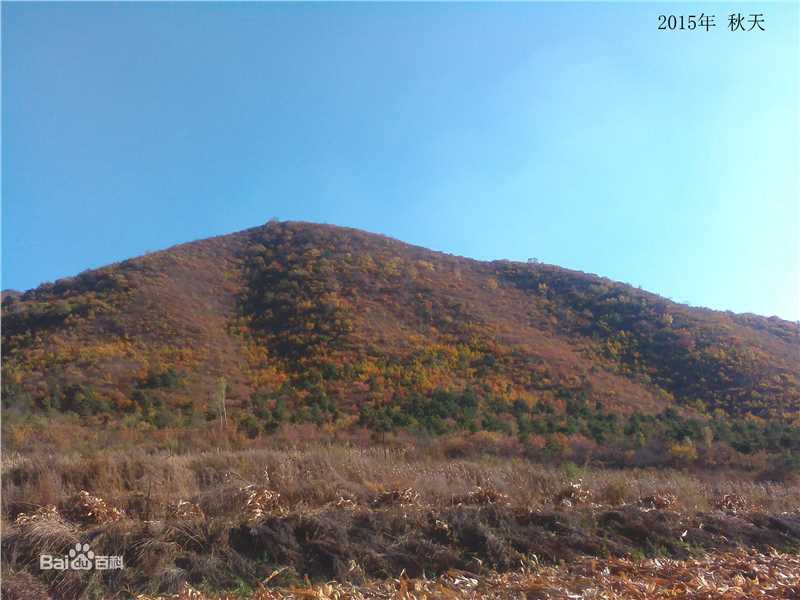 秋(autumn)天景观素颜照相册
