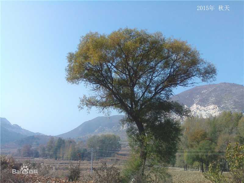秋(autumn)天景观素颜照相册