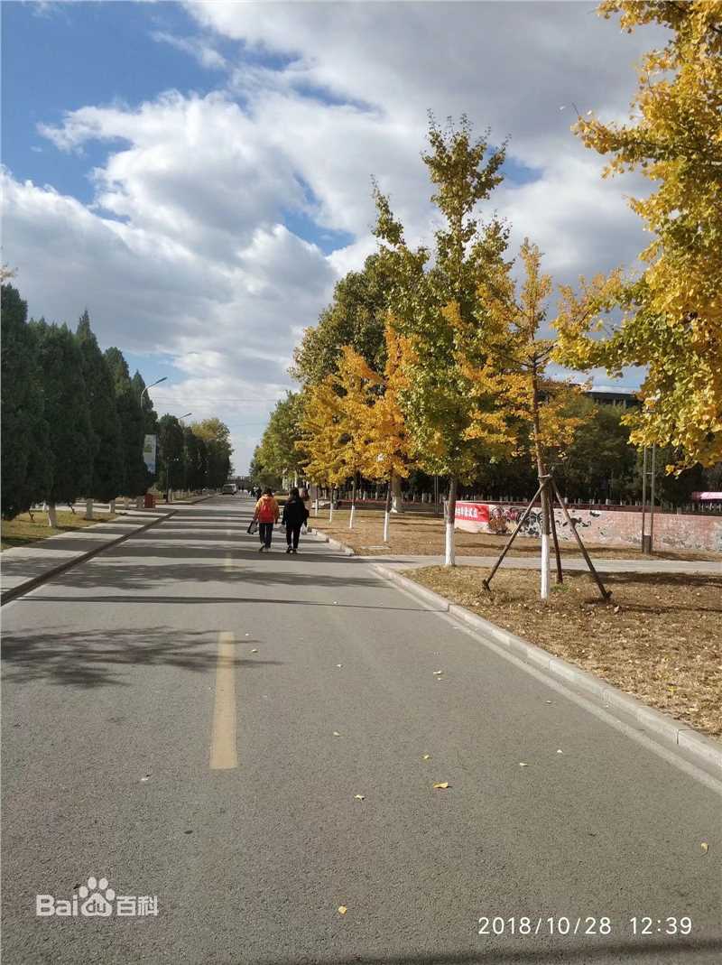 秋(autumn)天景观素颜照相册