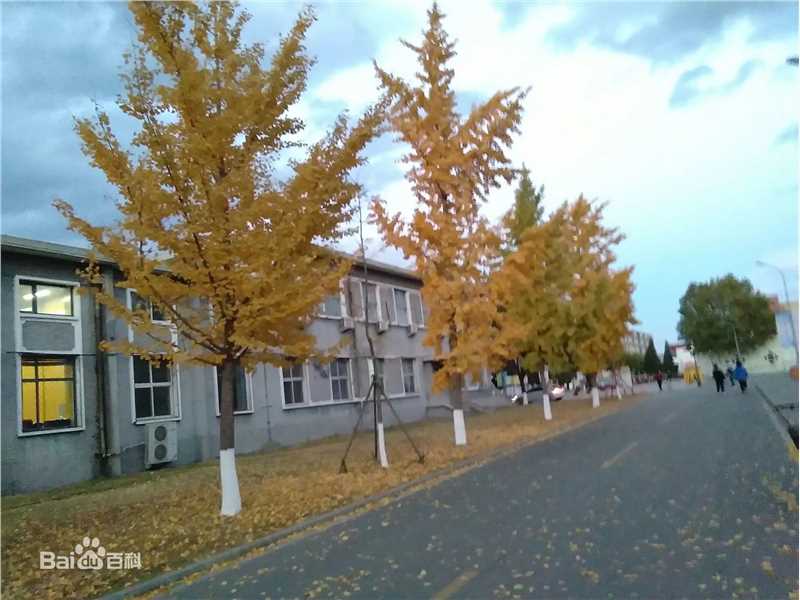 秋(autumn)天景观素颜照相册