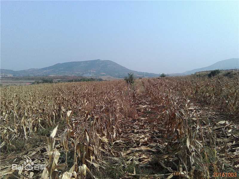 秋(autumn)天景观素颜照相册