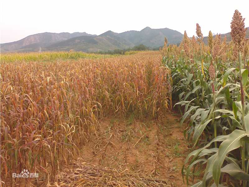 秋(autumn)天景观素颜照相册