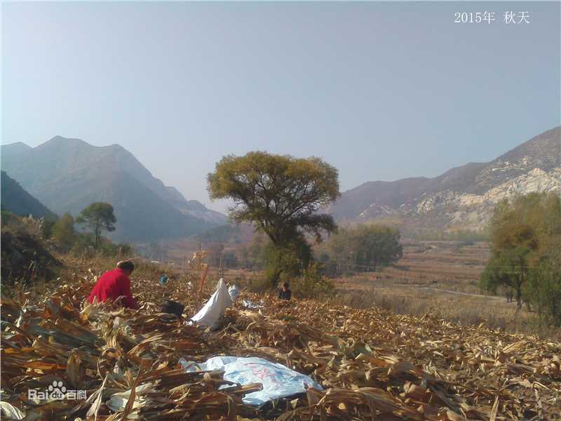 秋(autumn)天景观素颜照相册