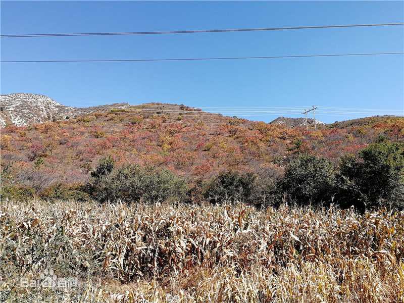 秋(autumn)天景观素颜照相册