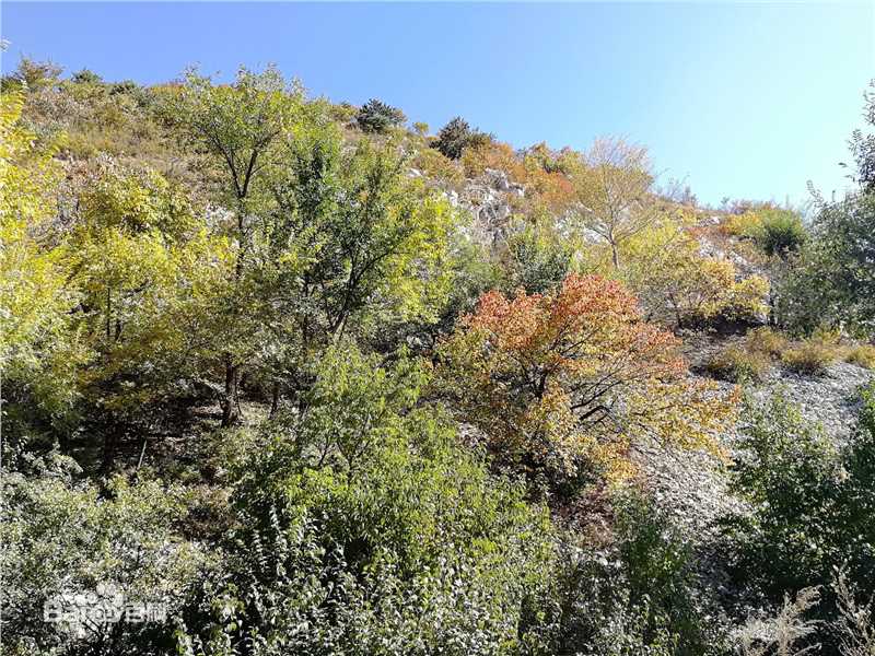 秋(autumn)天景观素颜照相册