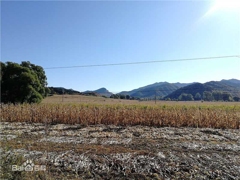 秋(autumn)天景观素颜照相册