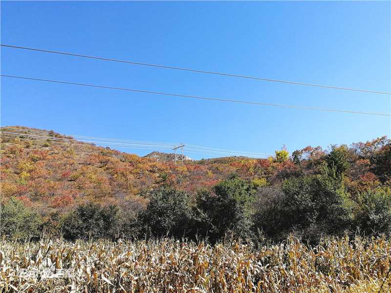 秋(autumn)天景观素颜照相册