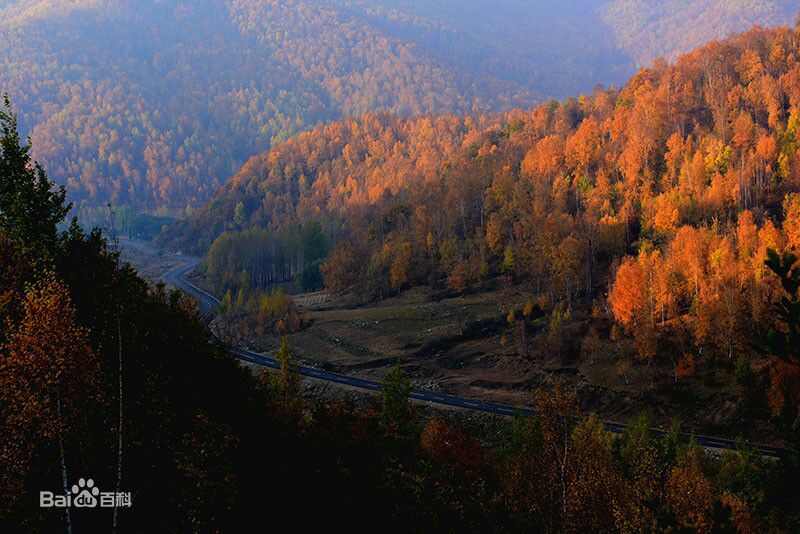 秋(autumn)天景观素颜照相册