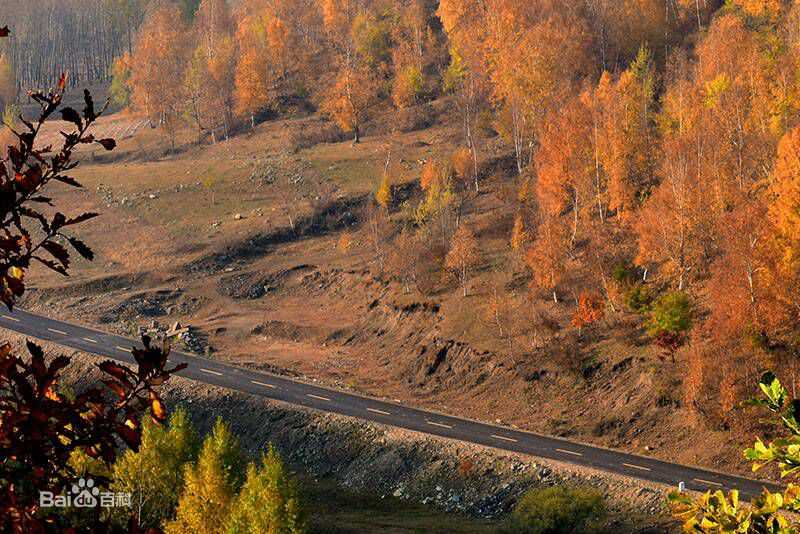 秋(autumn)天景观素颜照相册