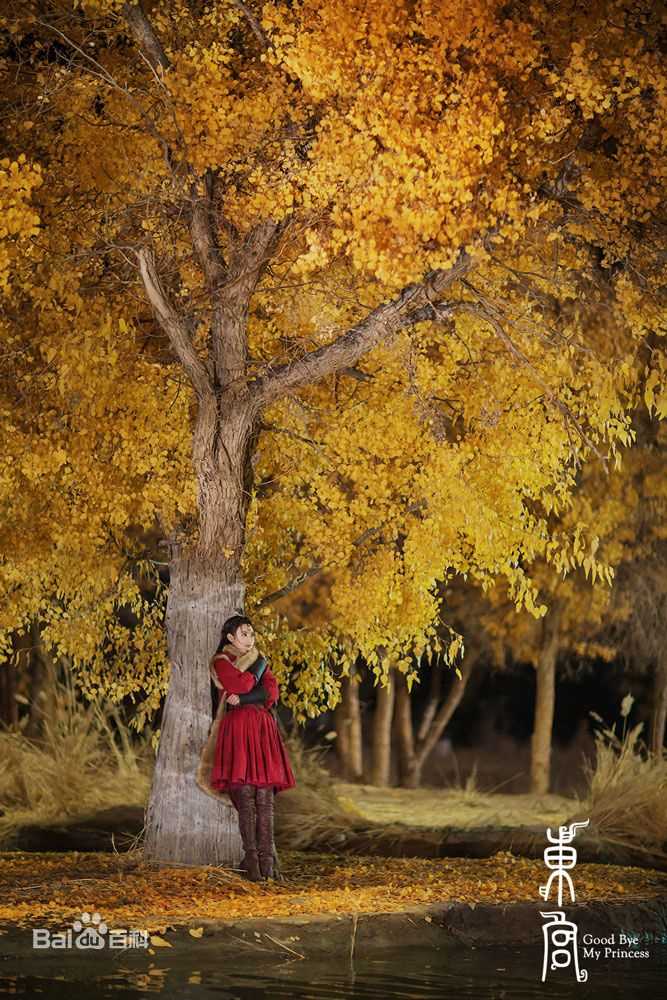 最全彭小苒(Peng Xiaoran)在《东宫》饰 曲小枫中的壁纸